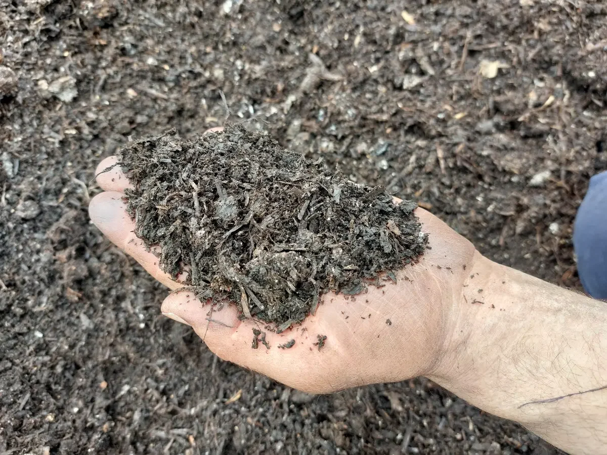 32 Mushroom compost